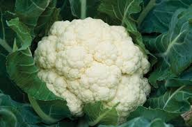 cauliflower.jpg