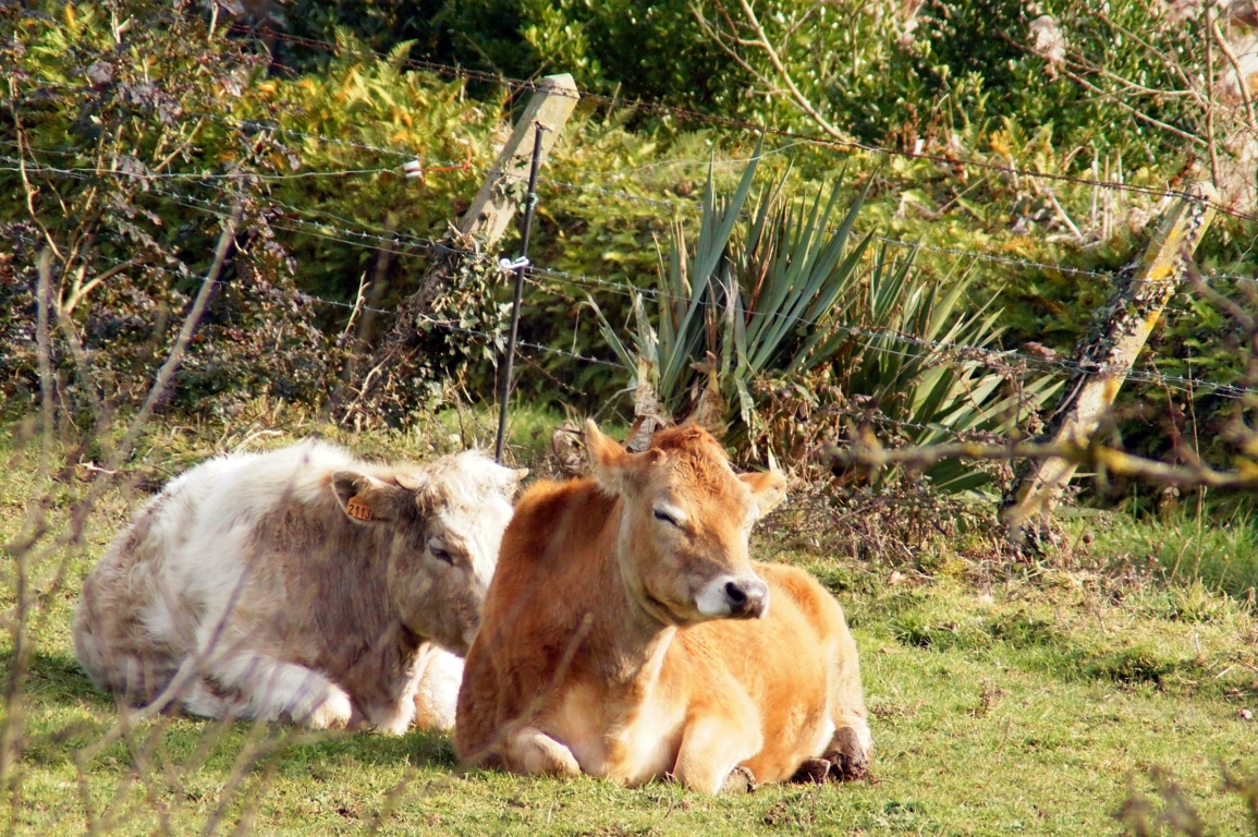 dsc04801s-essai-doubleur_5411040484_o (FILEminimizer).jpg