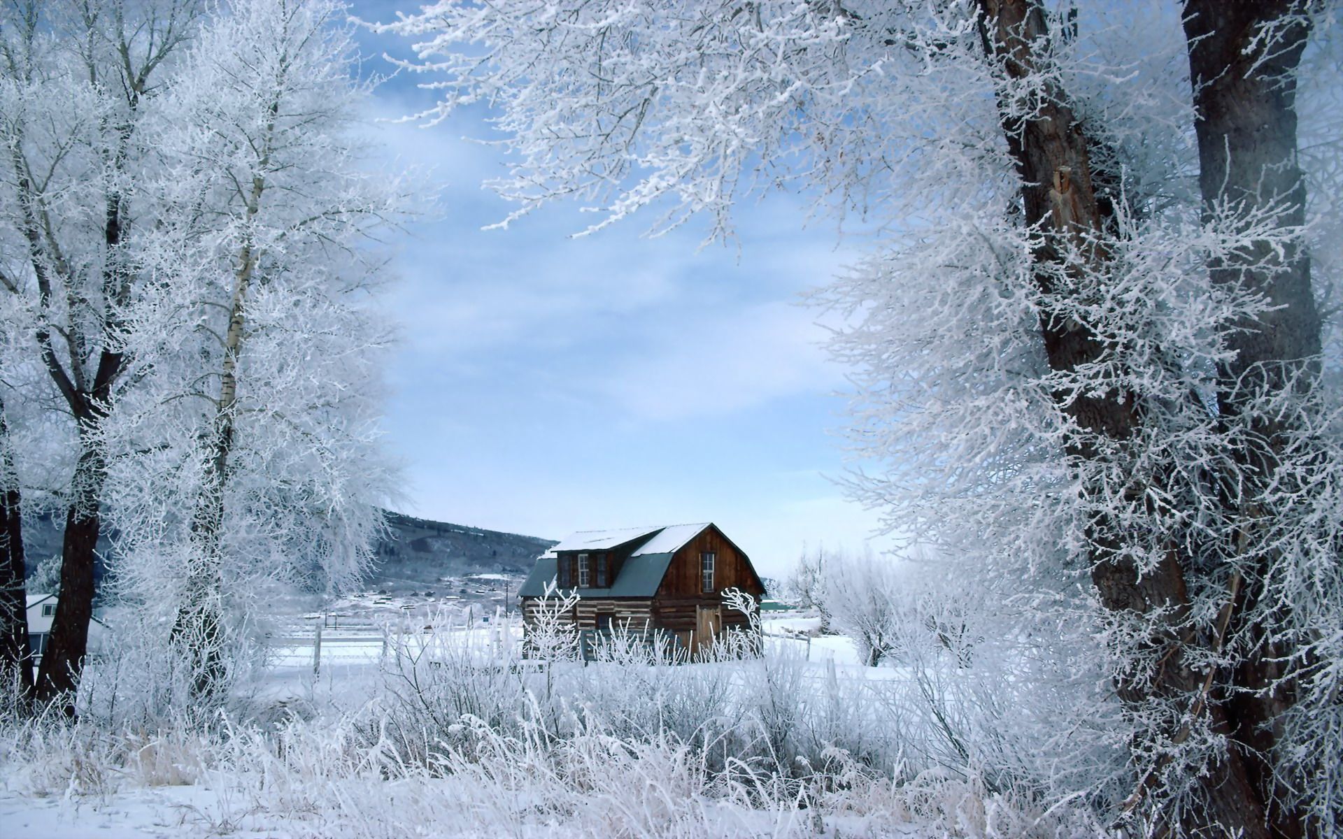 Winter Wonderland, Steamboat Springs, Colorado.jpg