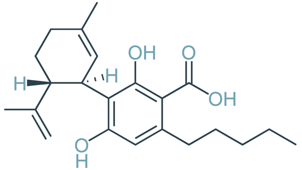 top-10-cannabinoids-and-what-they-do-cbda.png