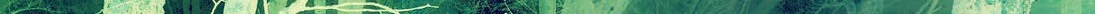 greenneg 2.jpg