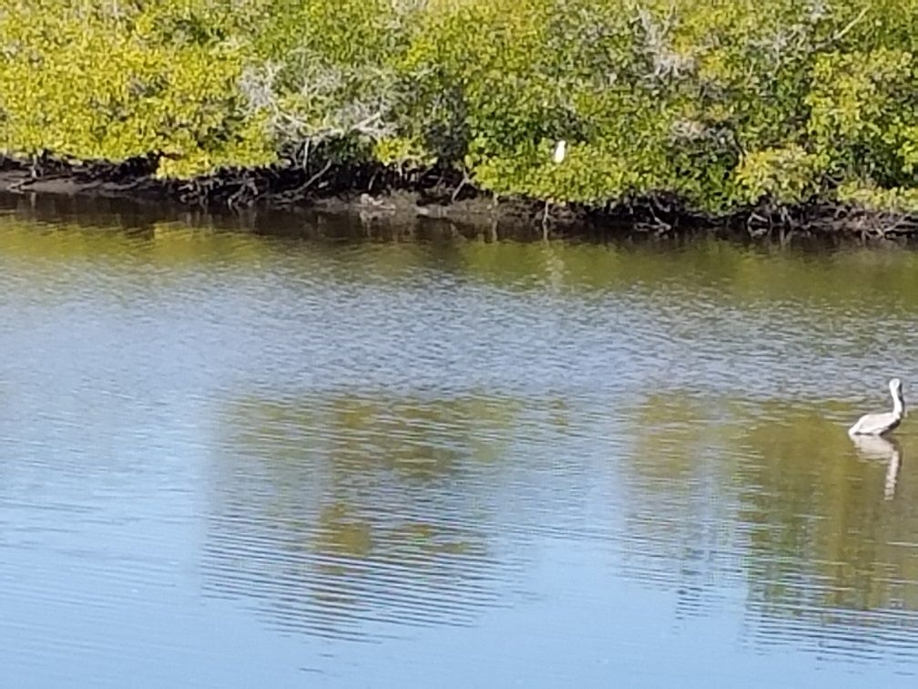 20180119_134138.jpg