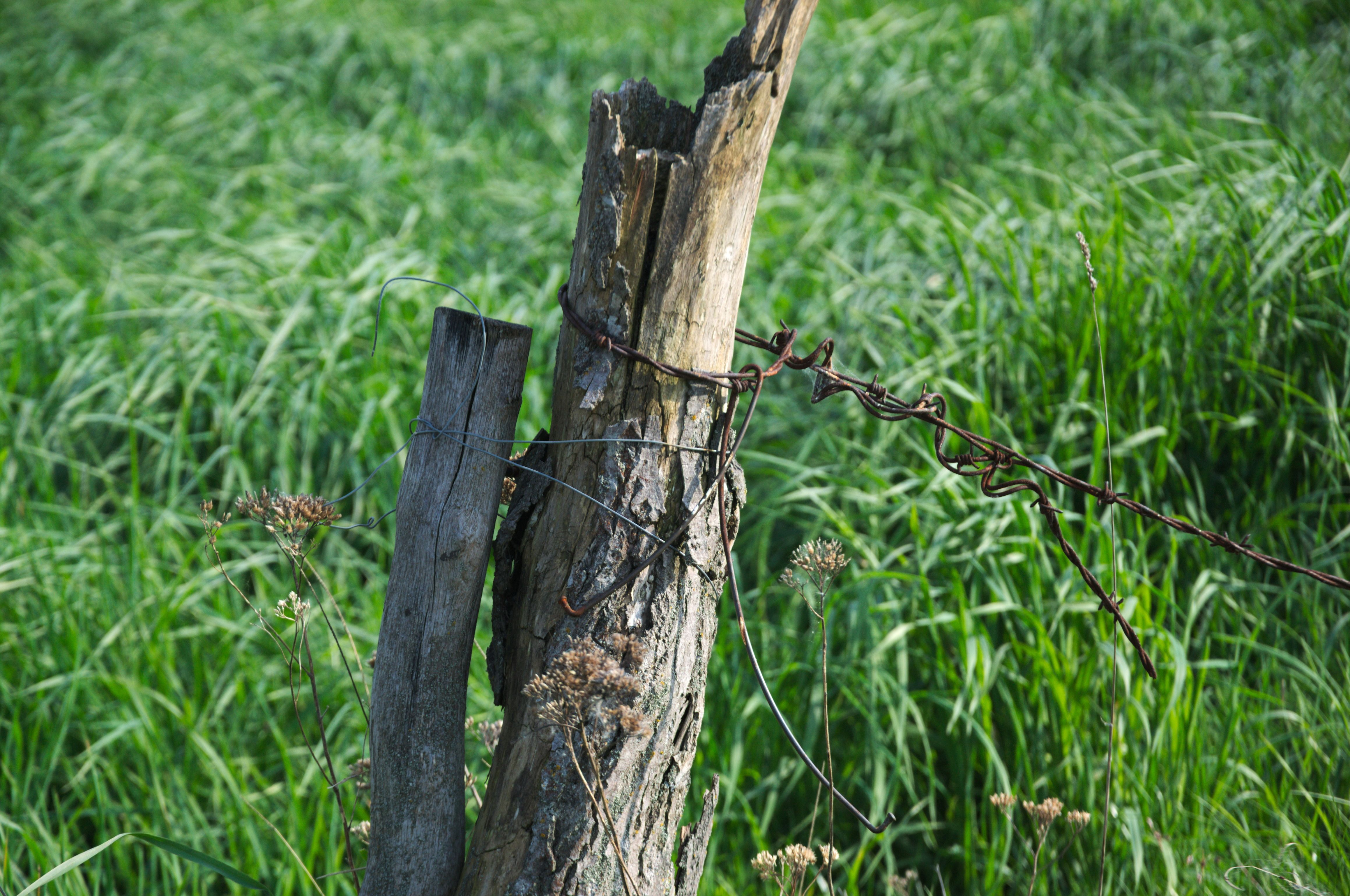 DSC_0620.jpg