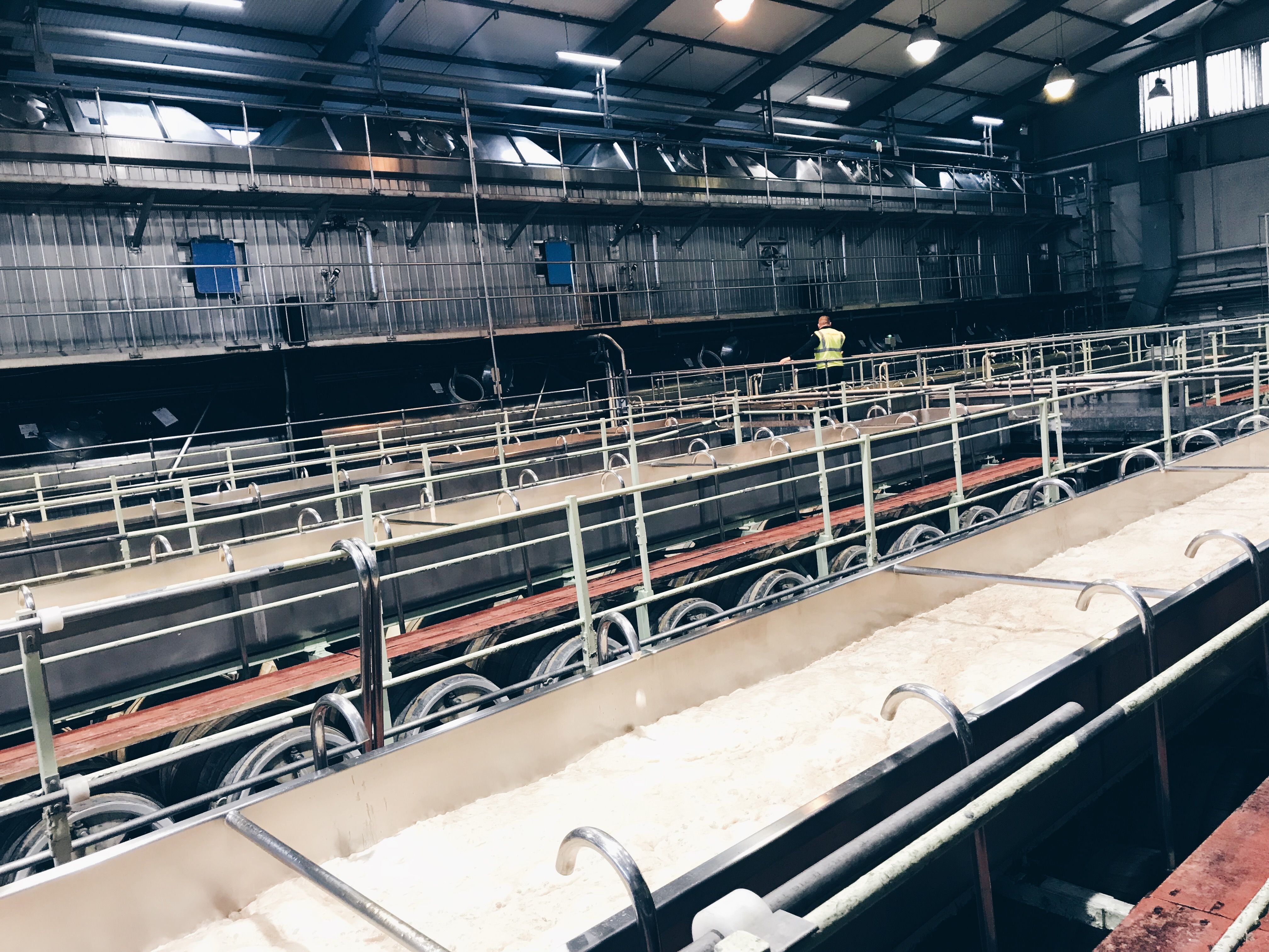 yeast-draining-decks