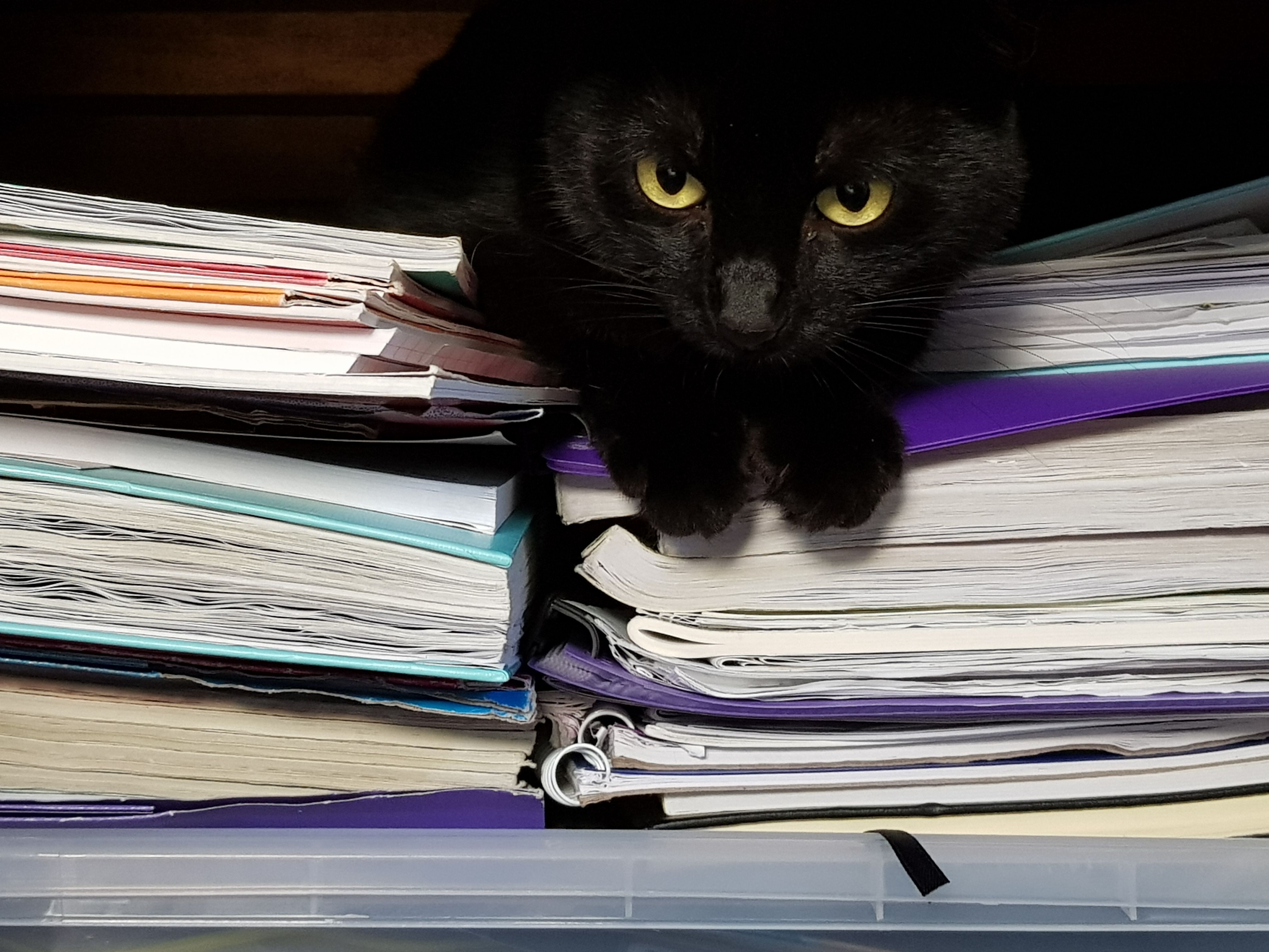 20180517_122752.jpg