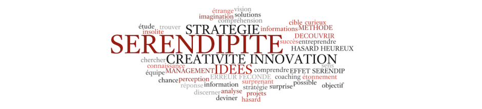 Wordle_20serendipite_20plaquette_2011_201320_20301.png