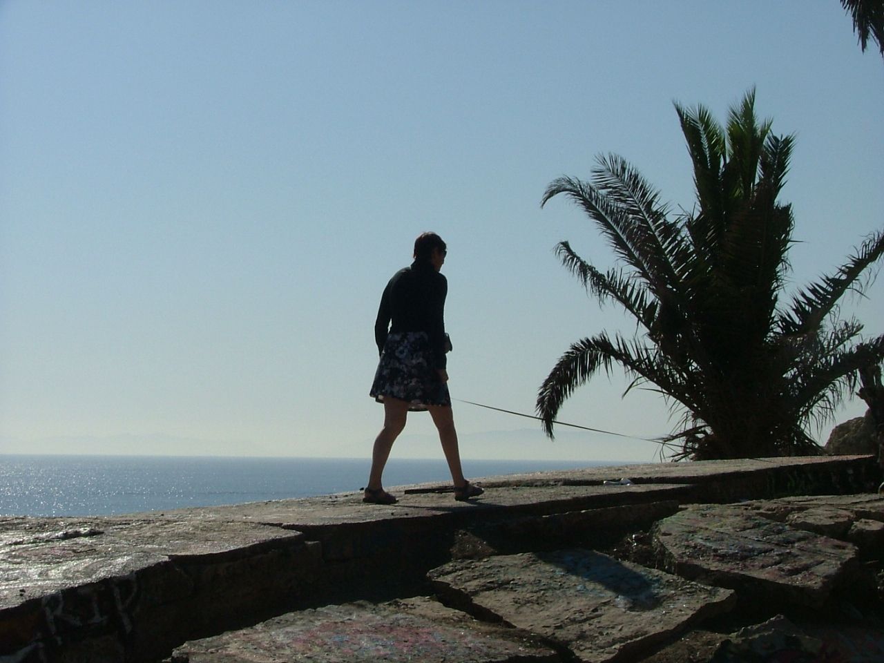 Angela walks her palm tree.JPG