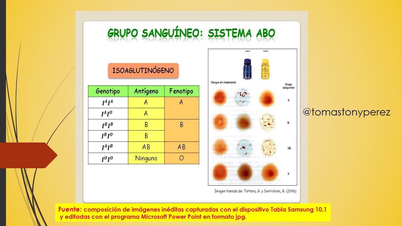 2.GruposSanguinesoANTIGENO_ANTICUERPO.JPG