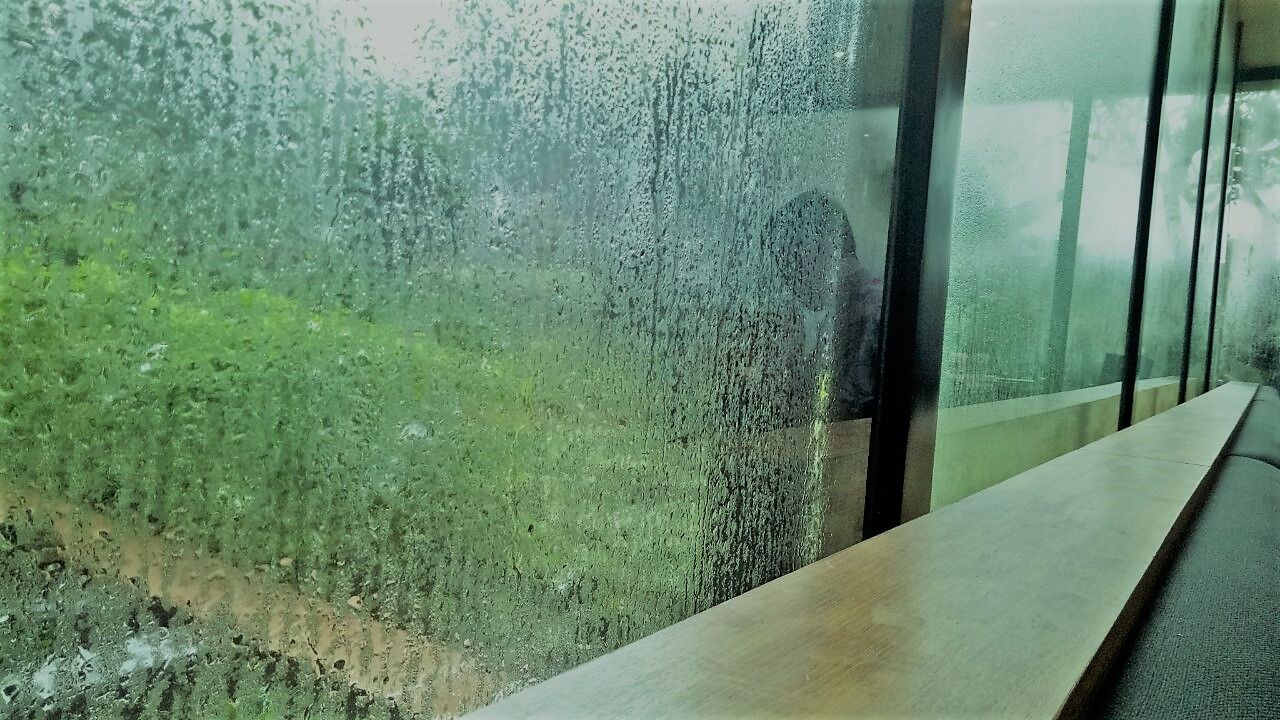 WhatsApp Image 2018-02-16 at 17.37.27 (2).jpeg