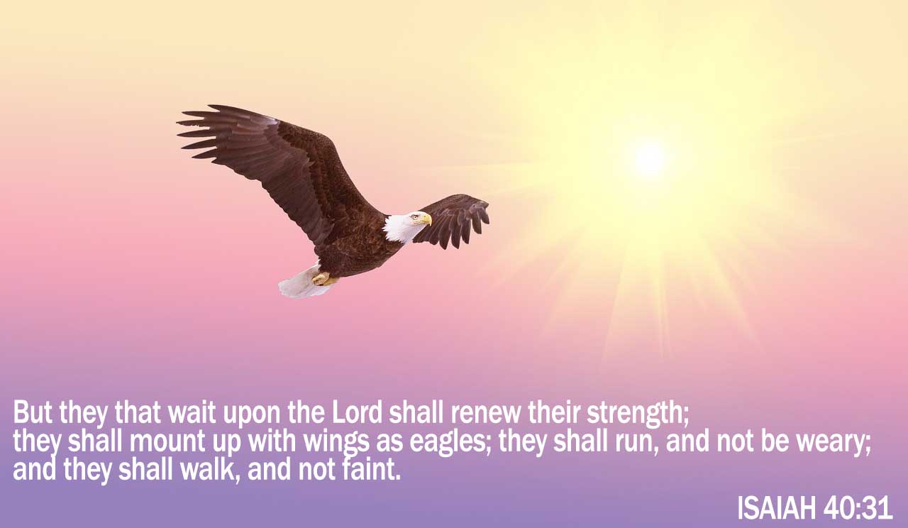 Isaiah 40 31 Find Comfort In The Greatness Of God Steemit