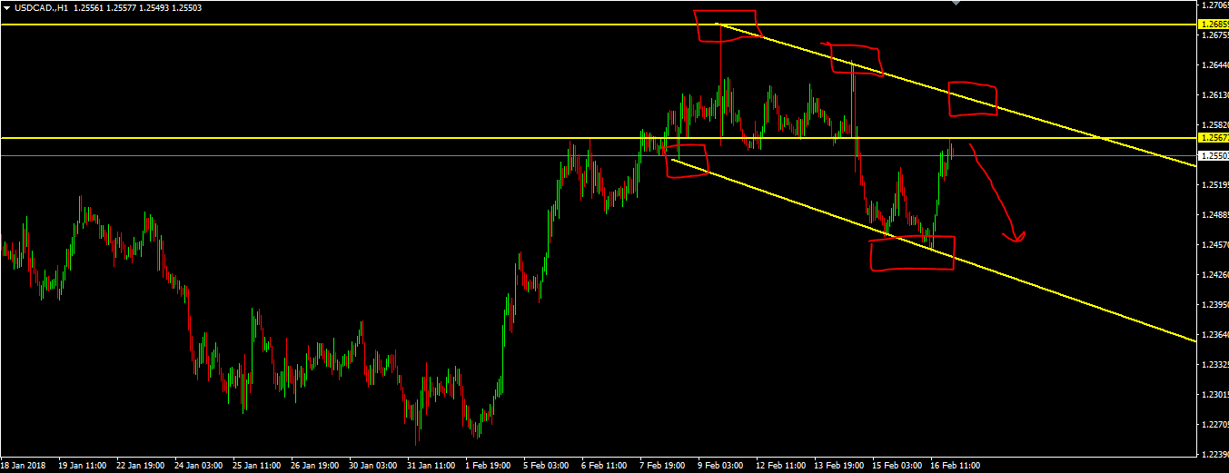 2.177usdcad2.PNG