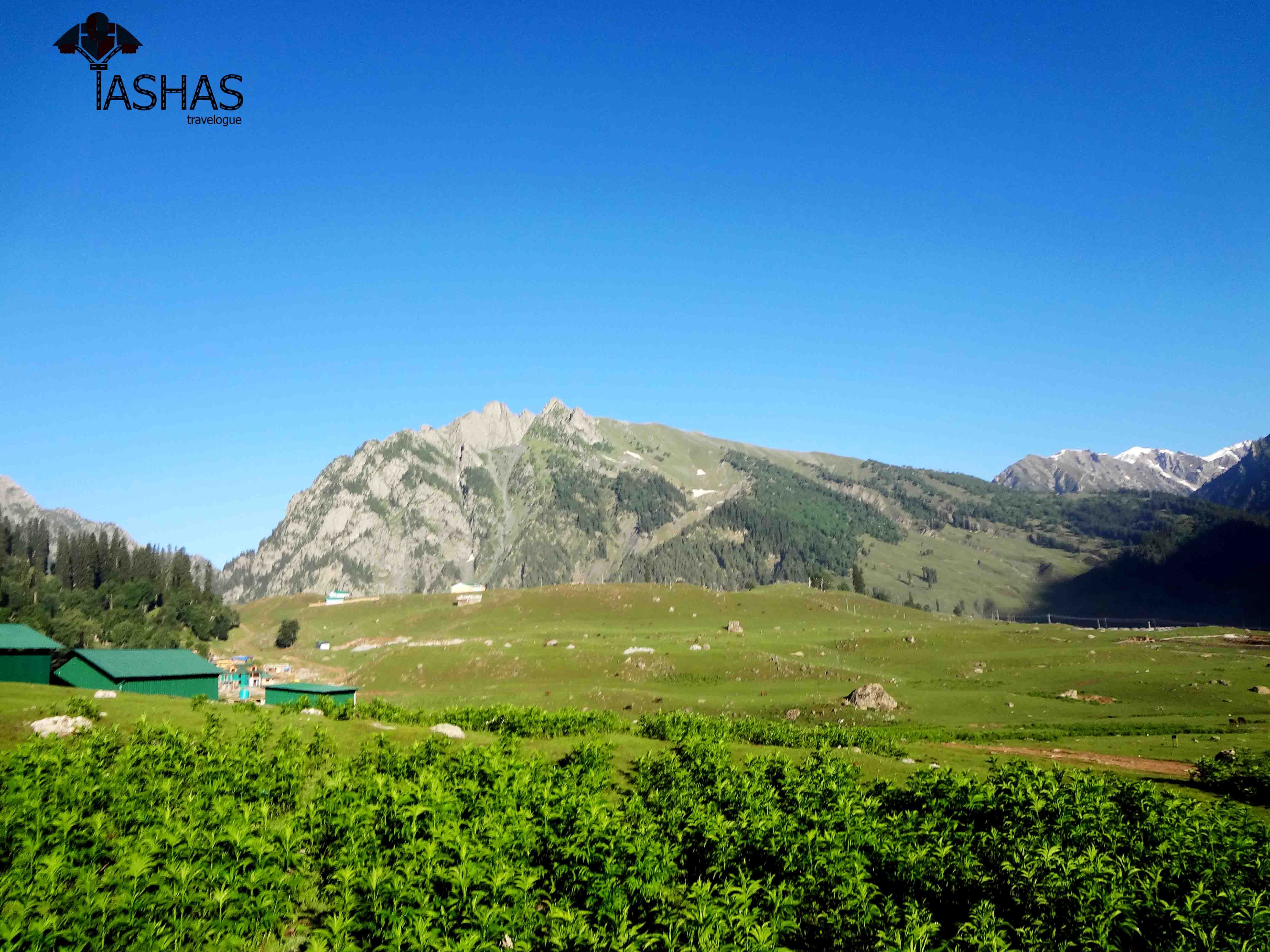 Sonmarg Morning View.jpg