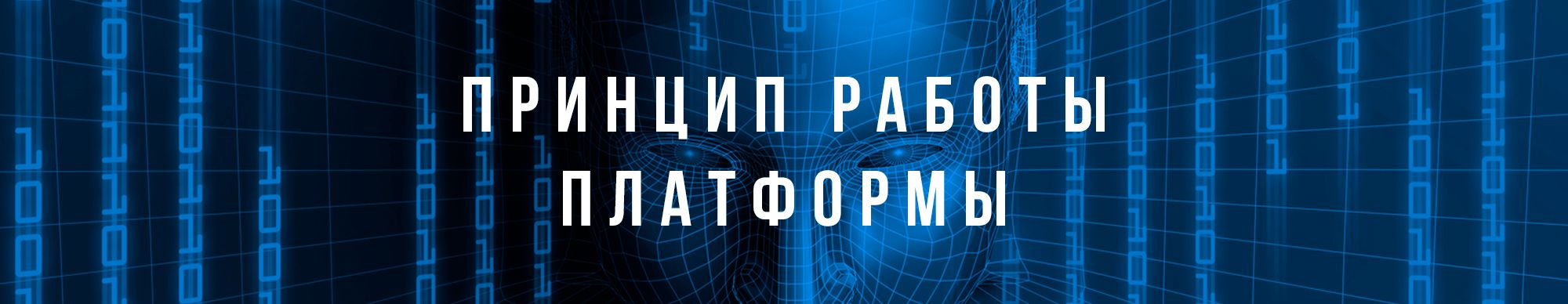 Принцип работы платформы.jpg