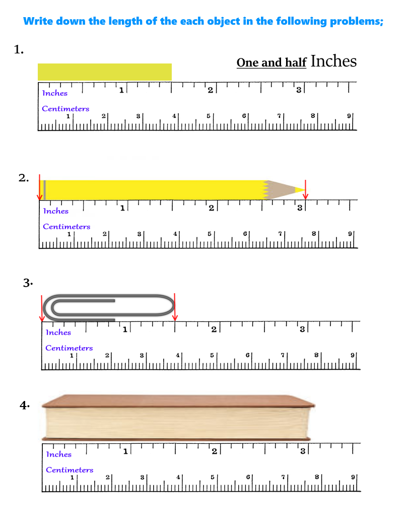 What Is Ruler? Definition, Types, Examples, Facts