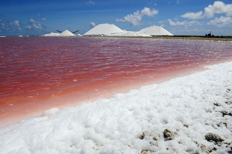 dutch-west-indies-bonaire-island-mountains-of-salt-at-the-salt-flats-of-pekelmeer-470636727-57696e393df78ca6e40ed012.jpg