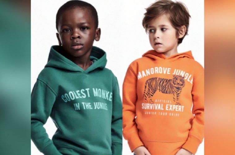 H and m coolest monkey in store the jungle