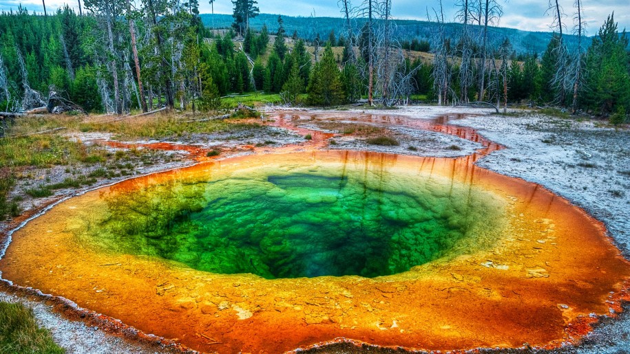 Beautiful-HD-Wallpaper-Geyser-Yellowstone-National-Park-USA-915x515.jpg