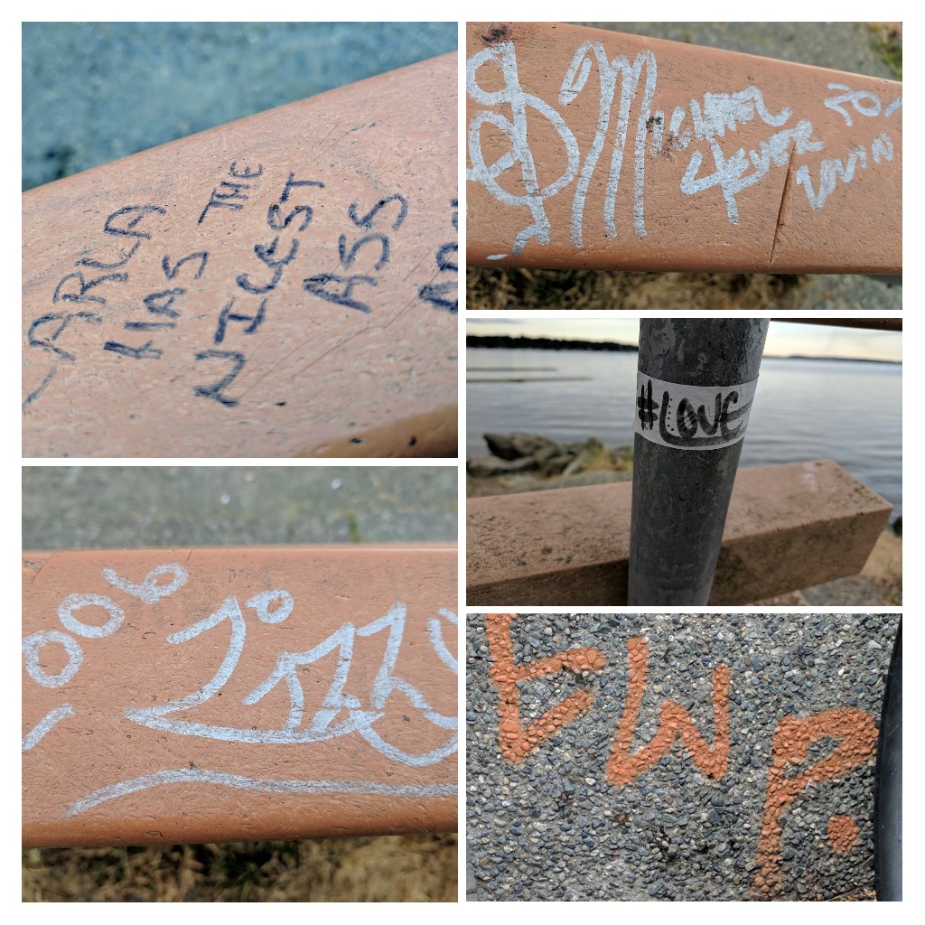 20180512_104130-COLLAGE.jpg