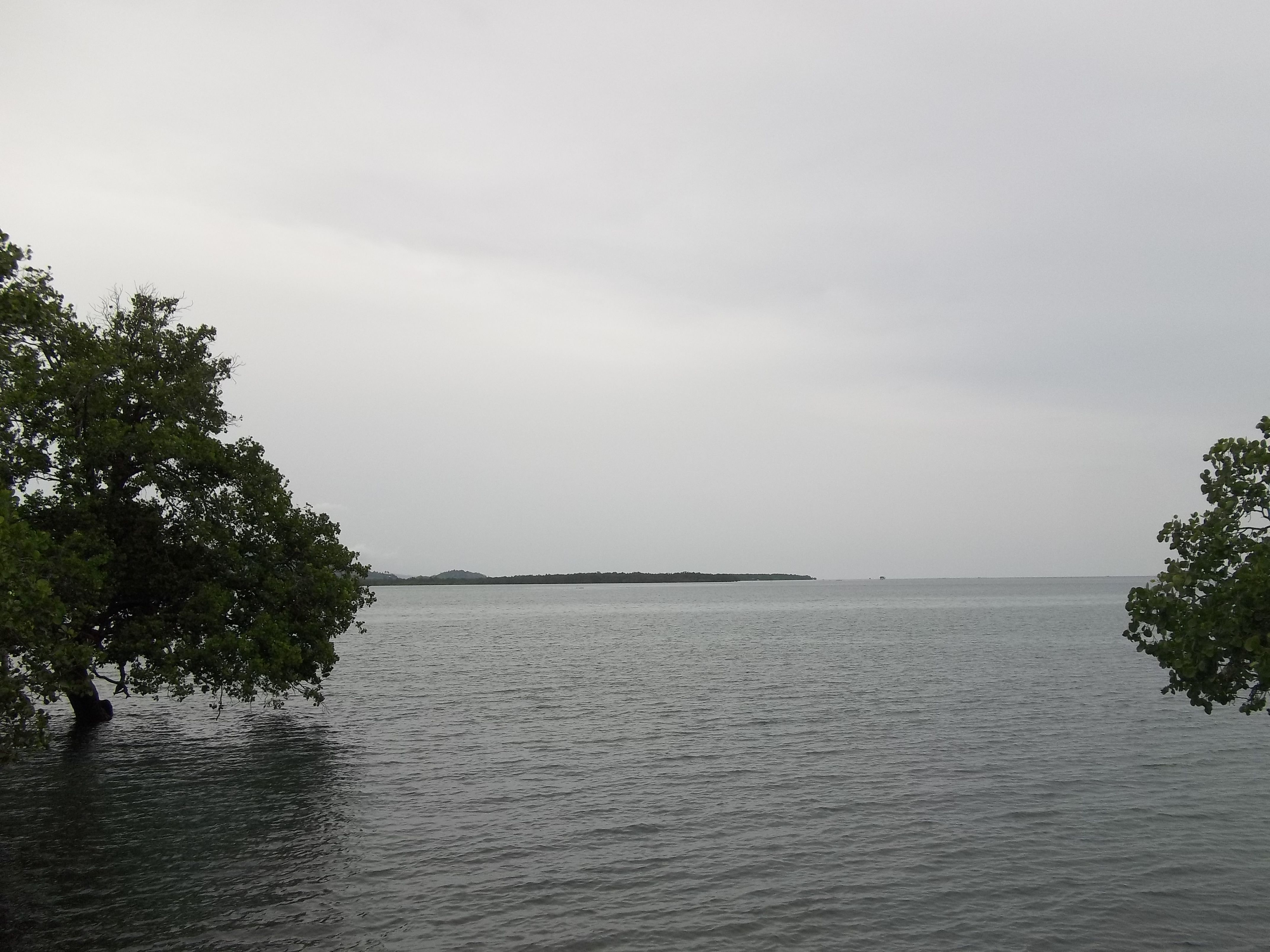 100_4142.JPG