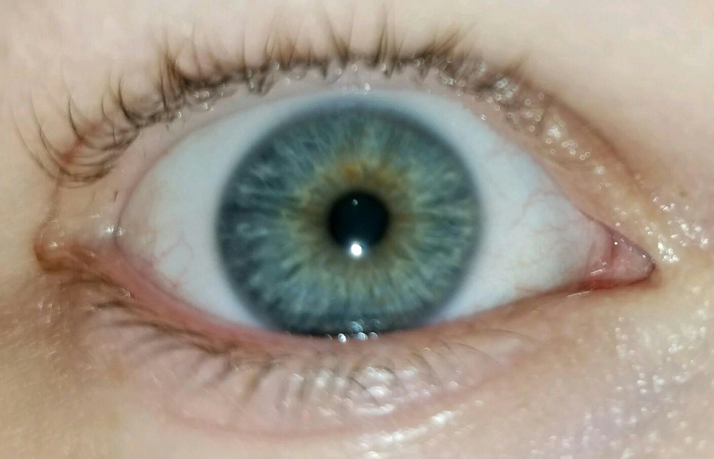 2017062595195933-1 (1).jpg