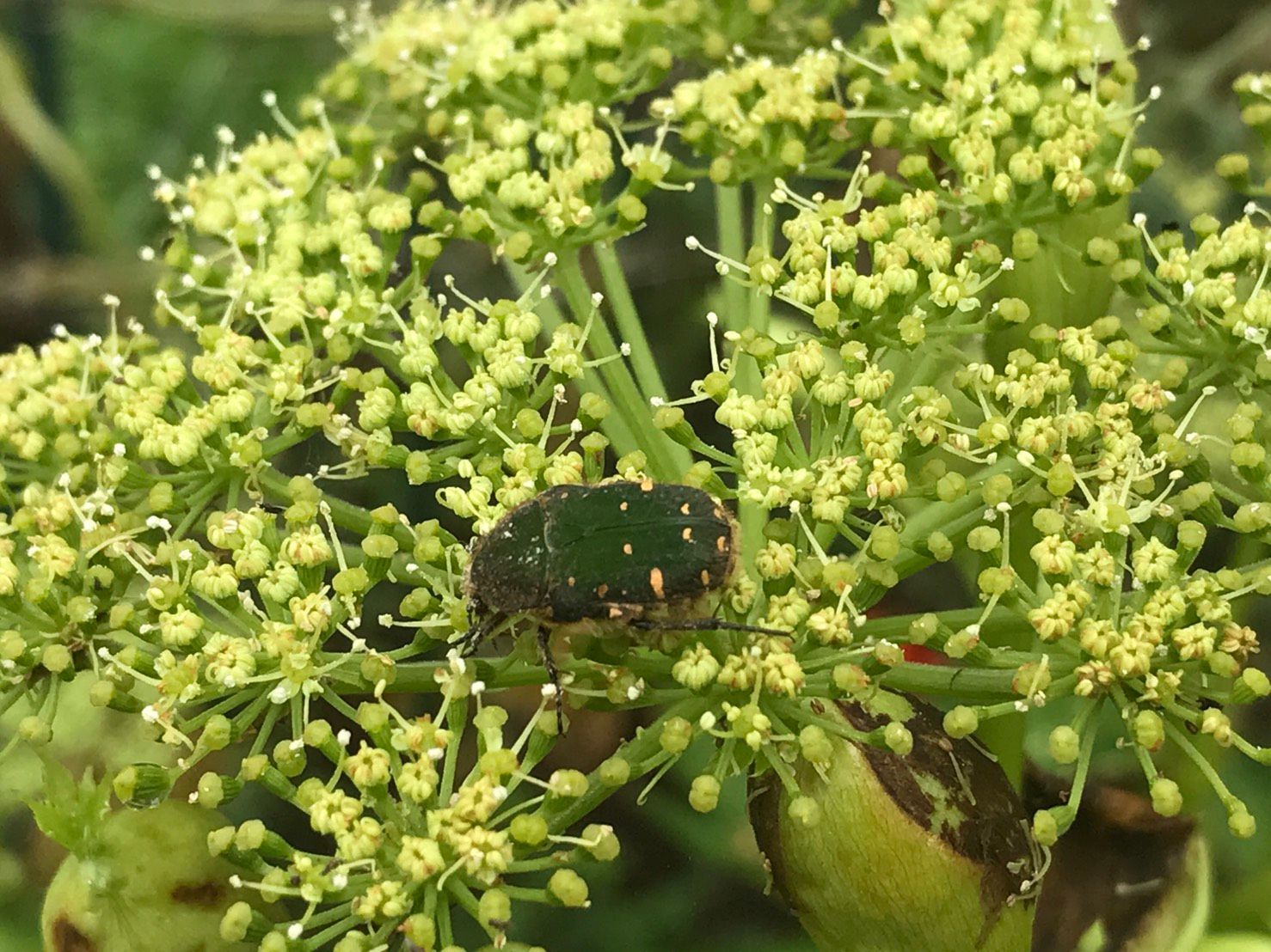 S_6557393608991.jpg