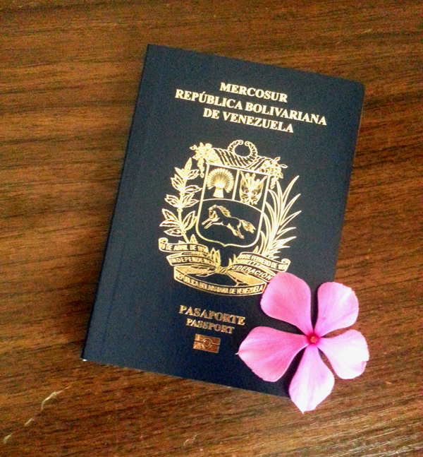 pasaporte-steemit.jpg
