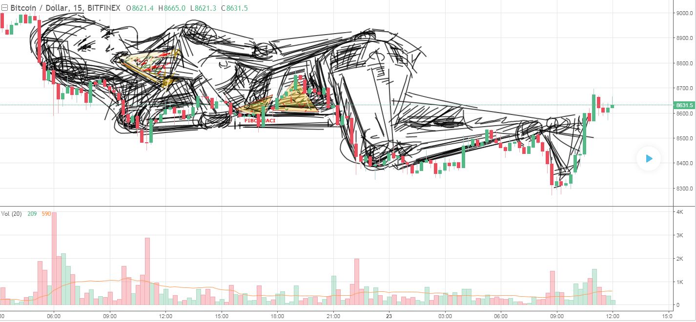 bitcoin pizza.JPG