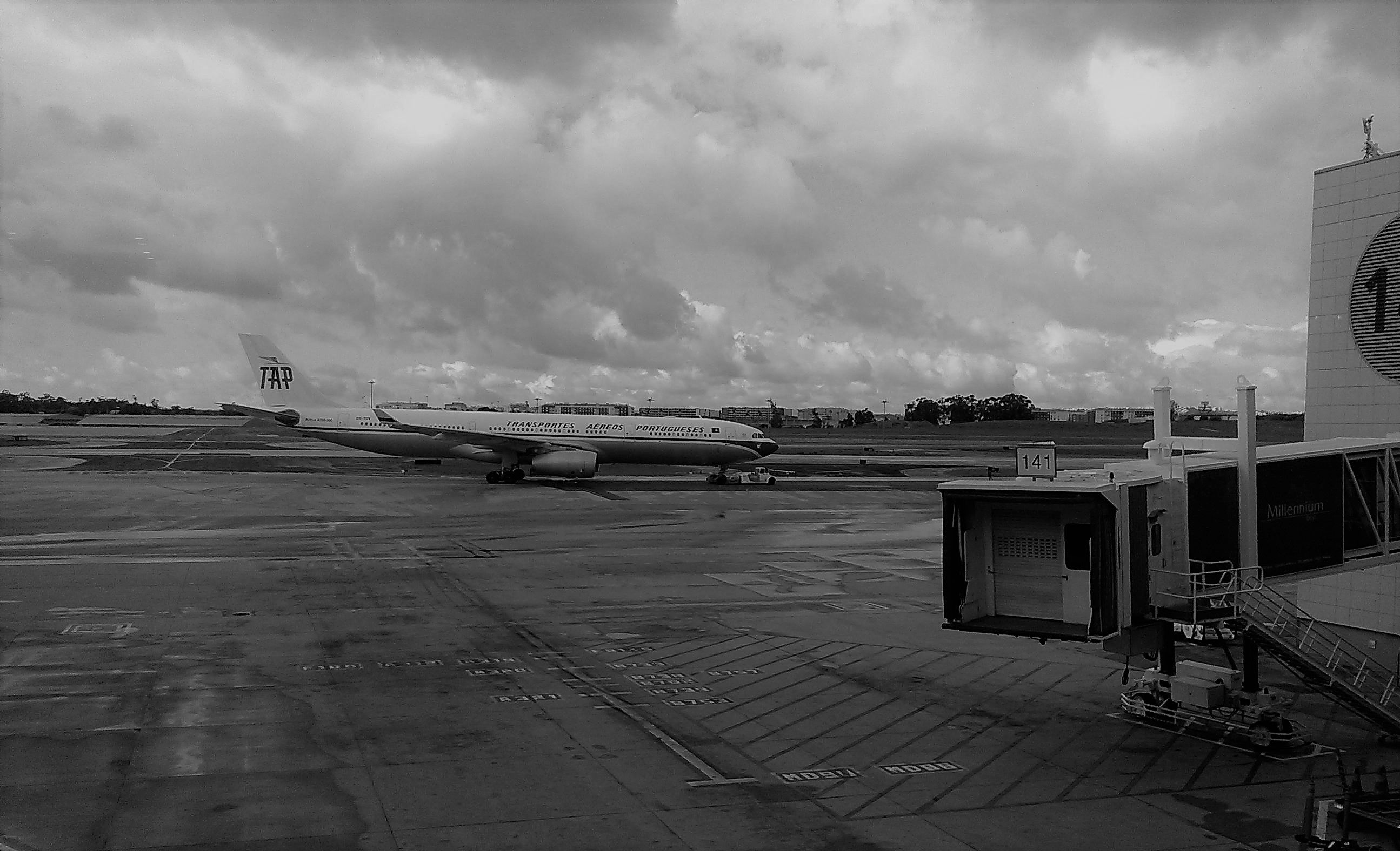 Plane Photography, SteemFest2 Return B&W Tap Plane Runway, 4 Nov 2017.jpg