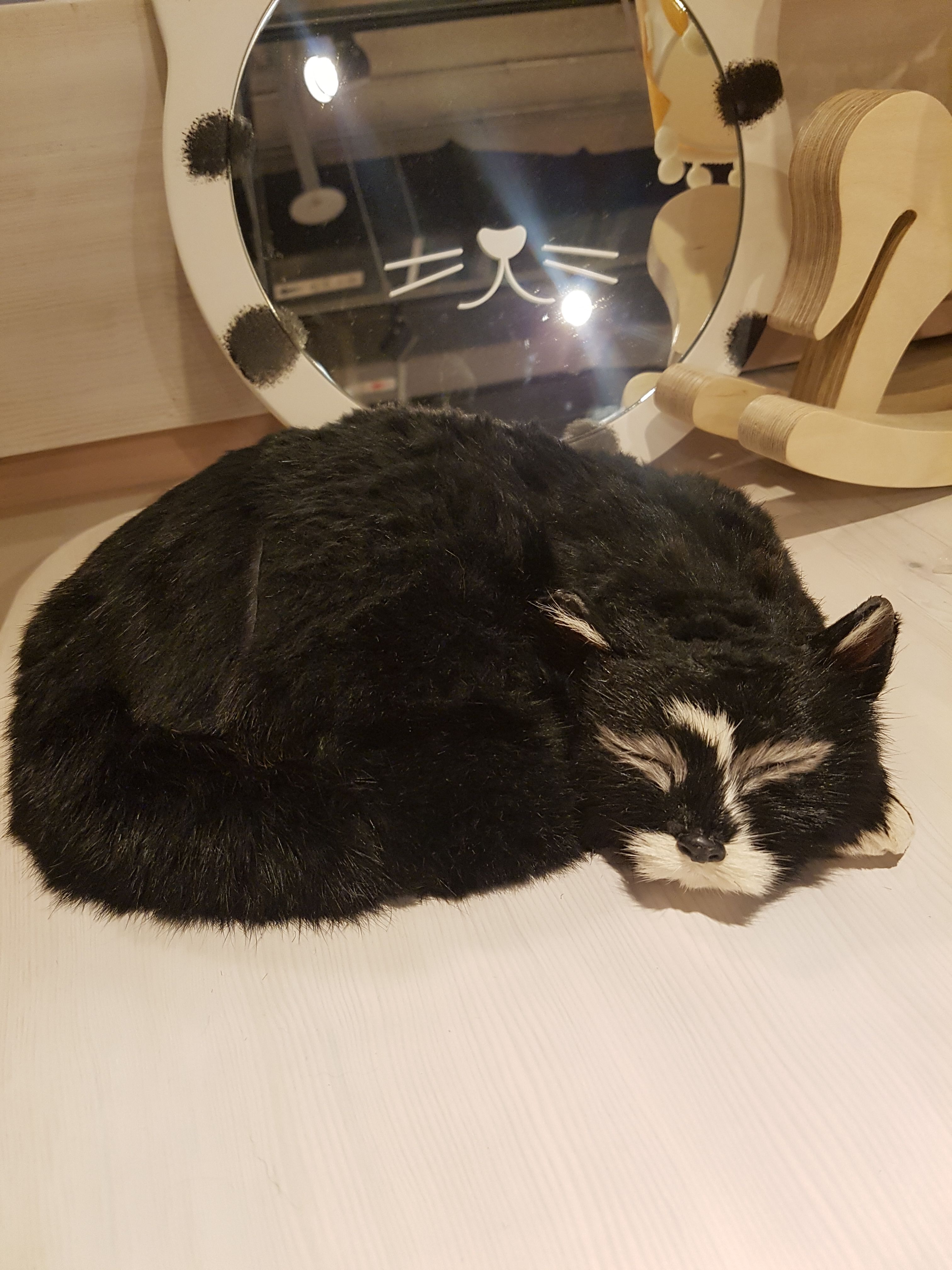 20180217_123502.jpg