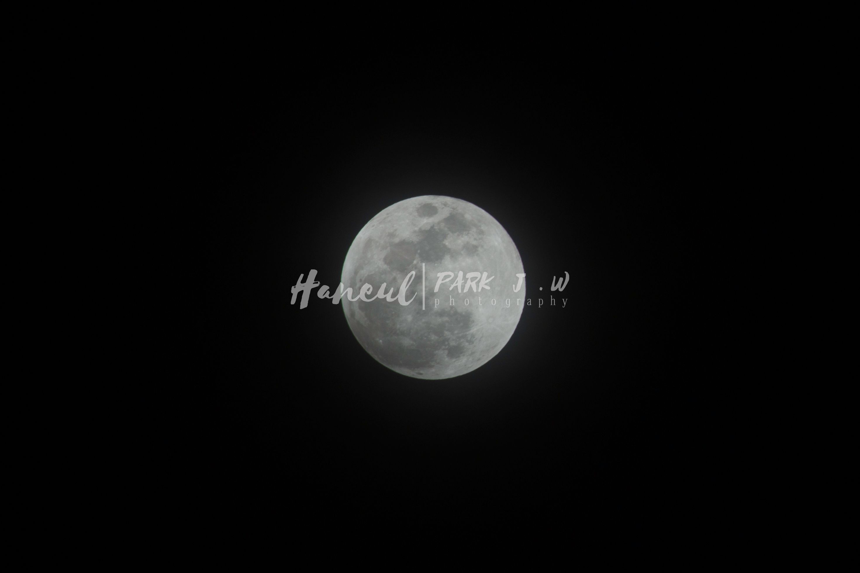moon light-4.jpg