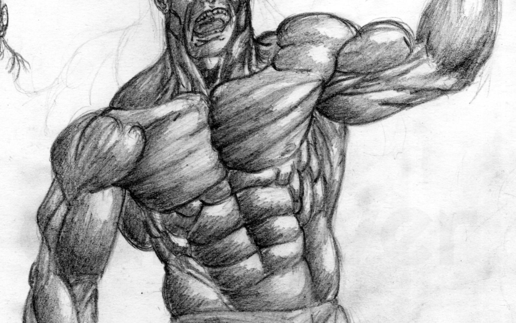 bodybuilding pencil drawing