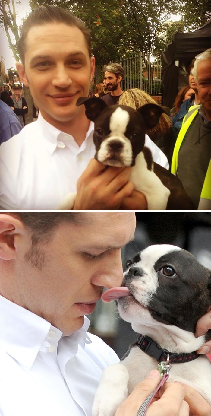 love-for-dogs-tom-hardy-27-59bf86f48bd7f__700.jpg