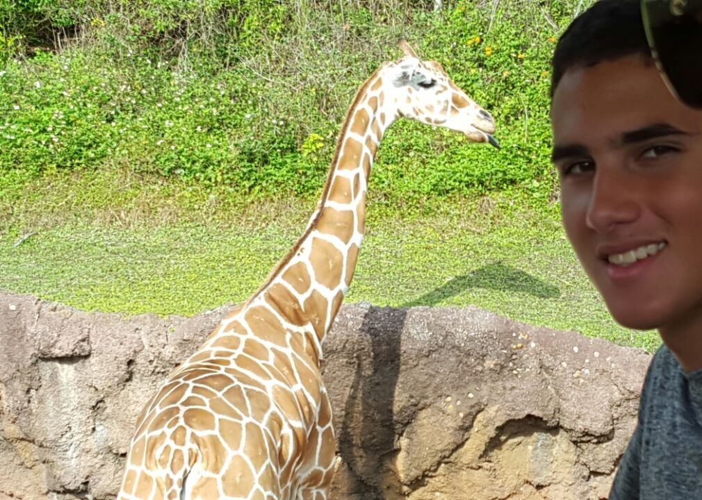 Giraffe - Cropped.jpg