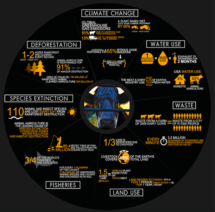 Cowspiracy-facts.png