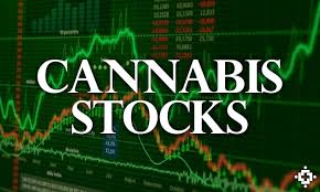 cannabis stock.jpg