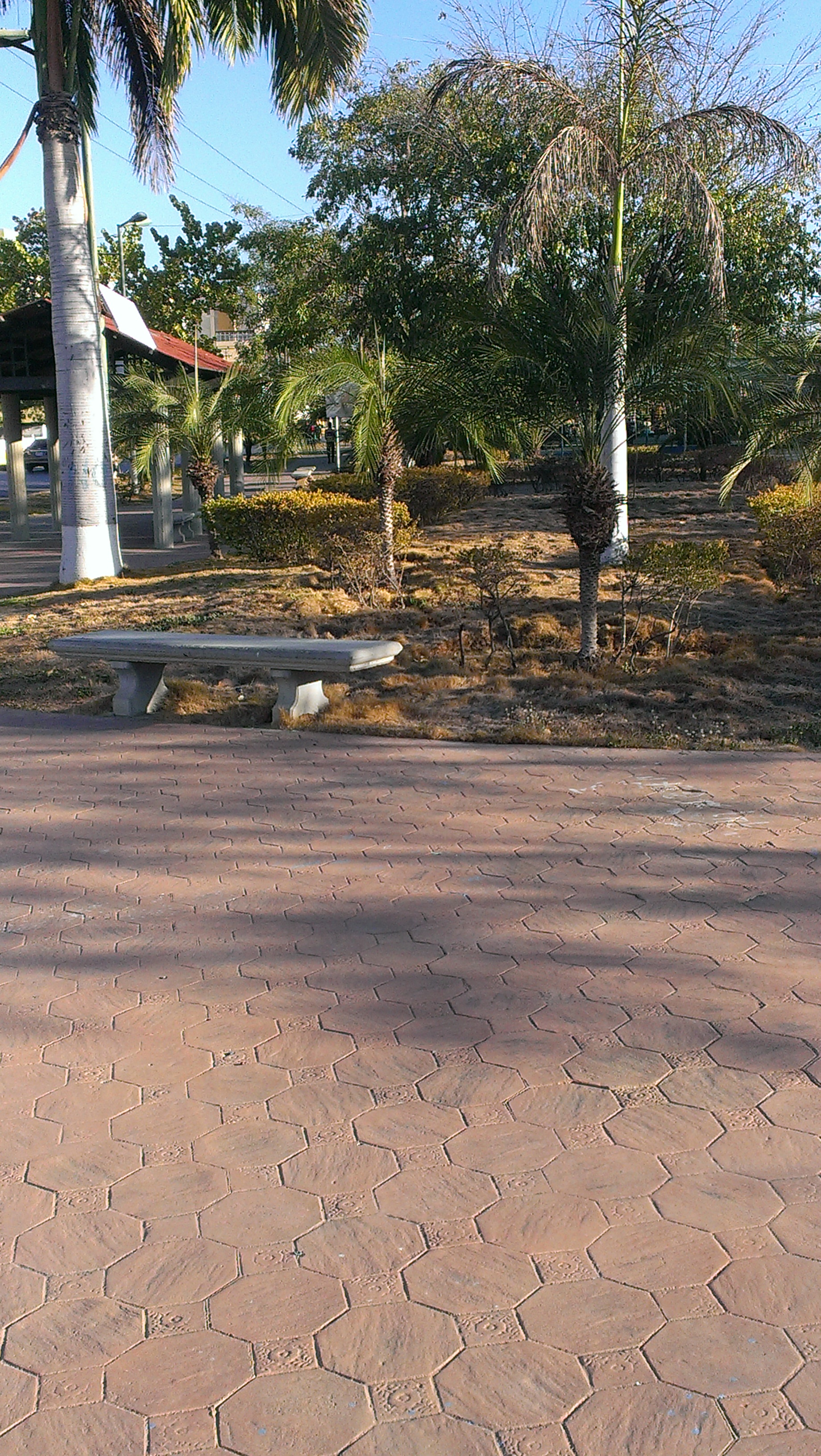IMAG0304.jpg