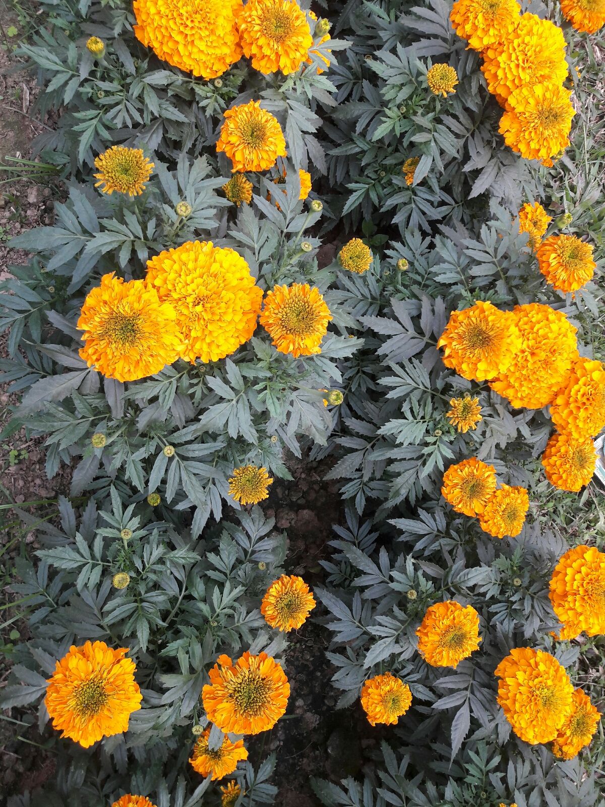 20180210_150003.jpg