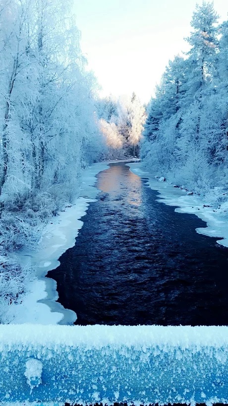 This river have never looked more beautiful.jpg