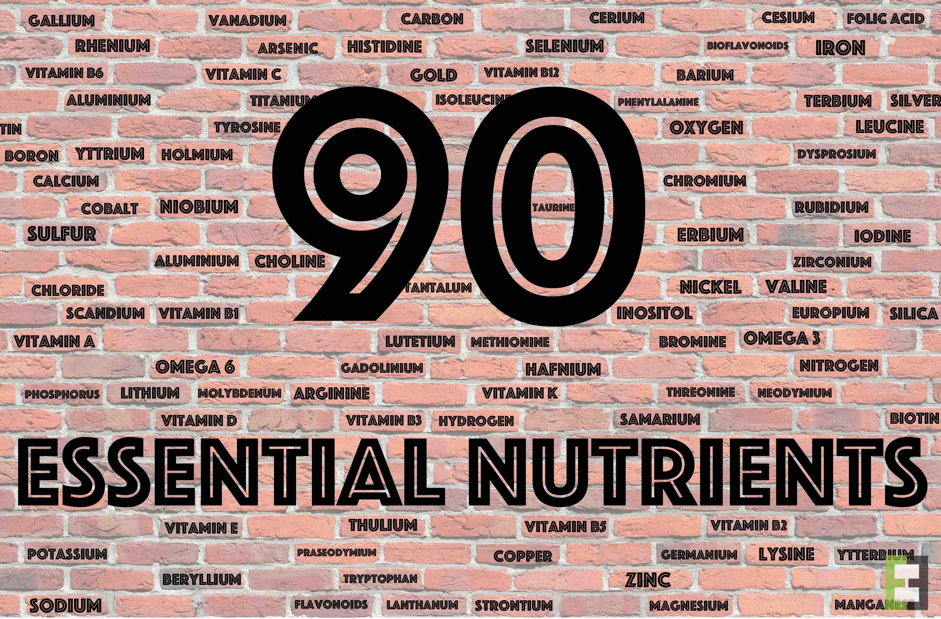 90 essential vitamins-steemit.jpg