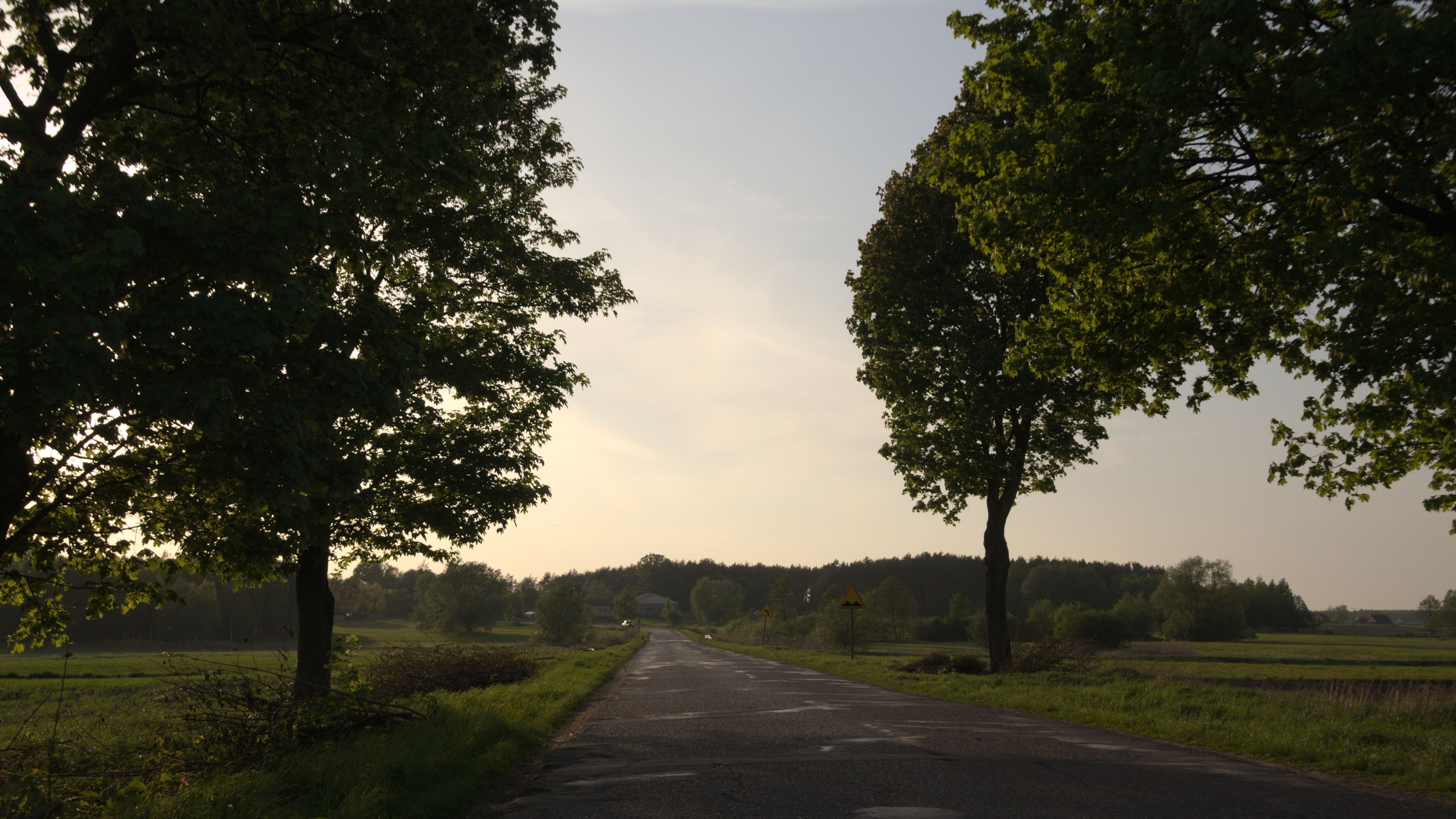 DSC_0676-1.jpg