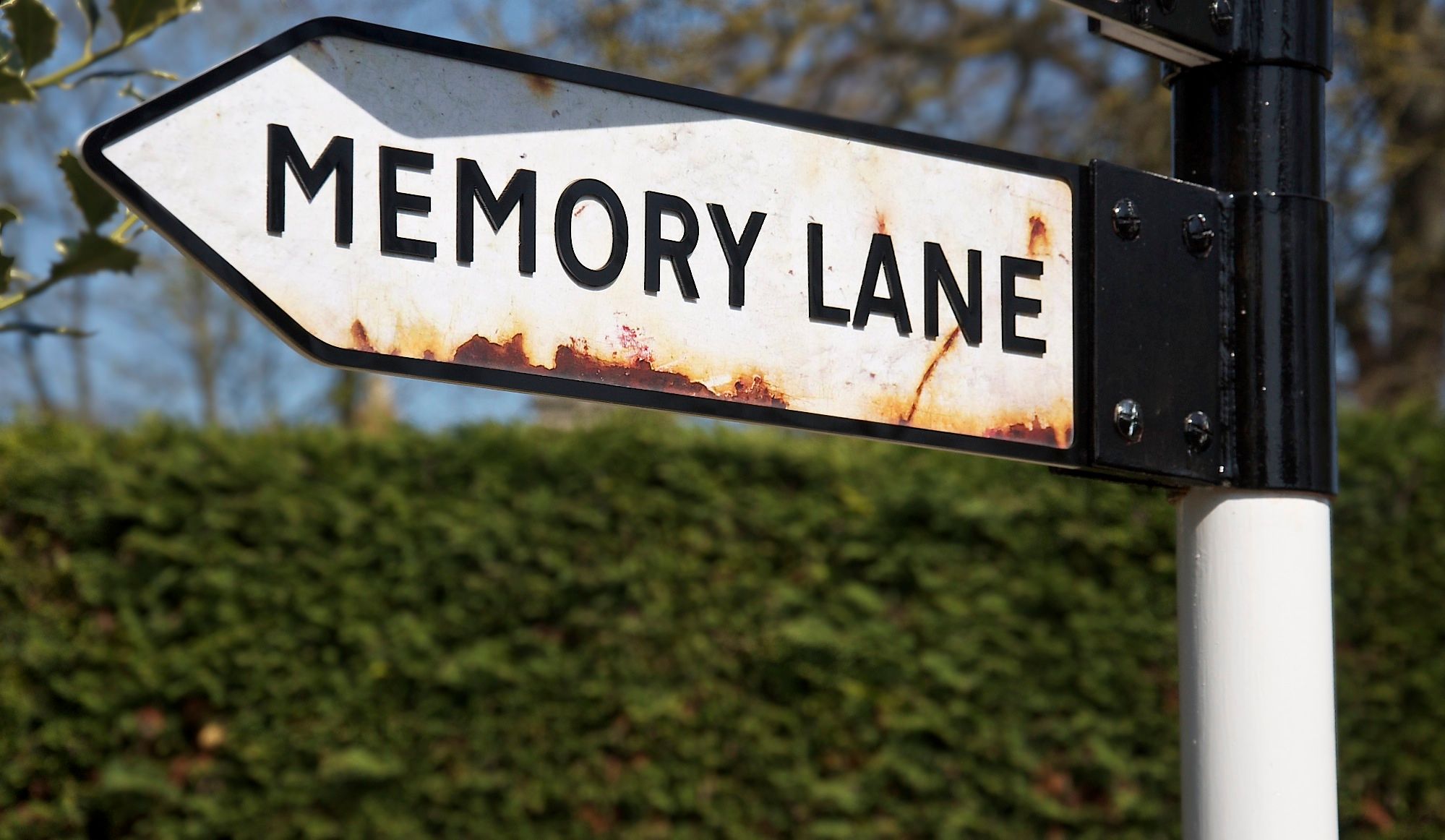 Memory-Lane.jpg