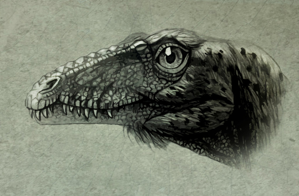 tachiraptor_admirabilis_by_malvit-d84czuh (1).jpg