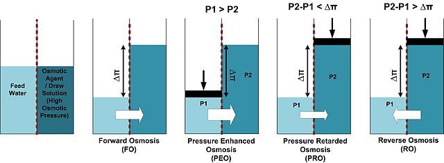 640px-Osmotic_Processes_Diagram.jpg