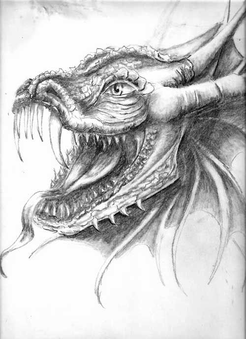 Vintage European dragon drawing, Mythology - Animal, Old Masters  Renaissance art | eBay