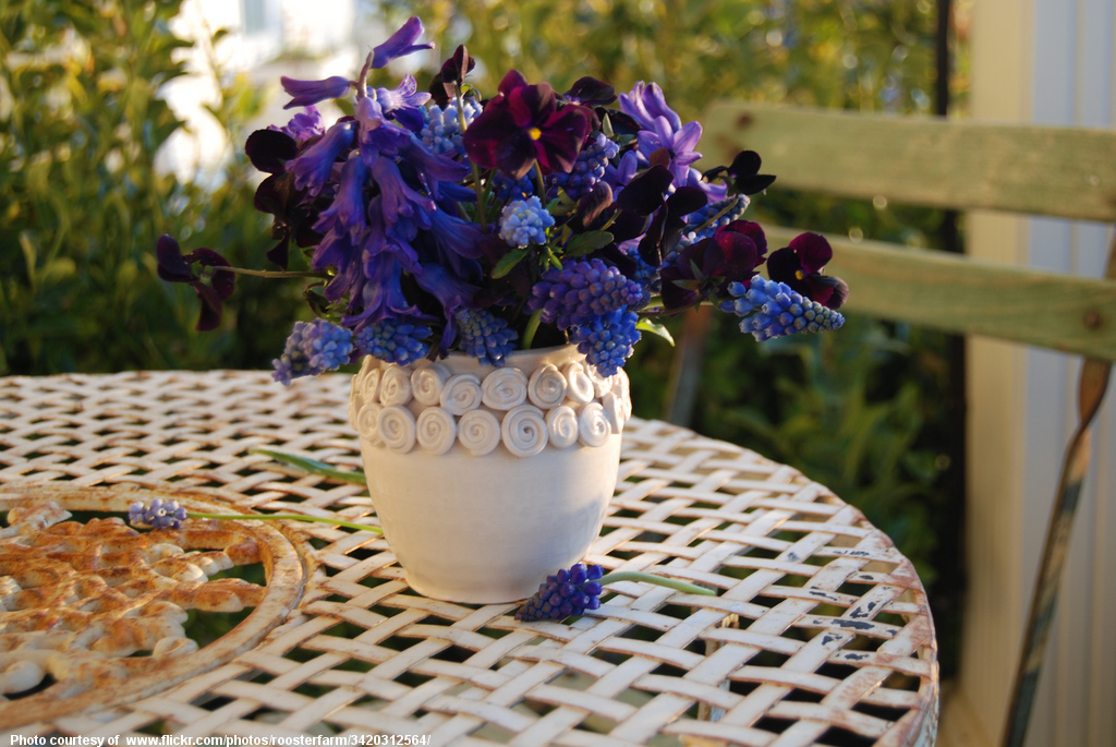 White Vase and Blue Flowers-082416.jpg