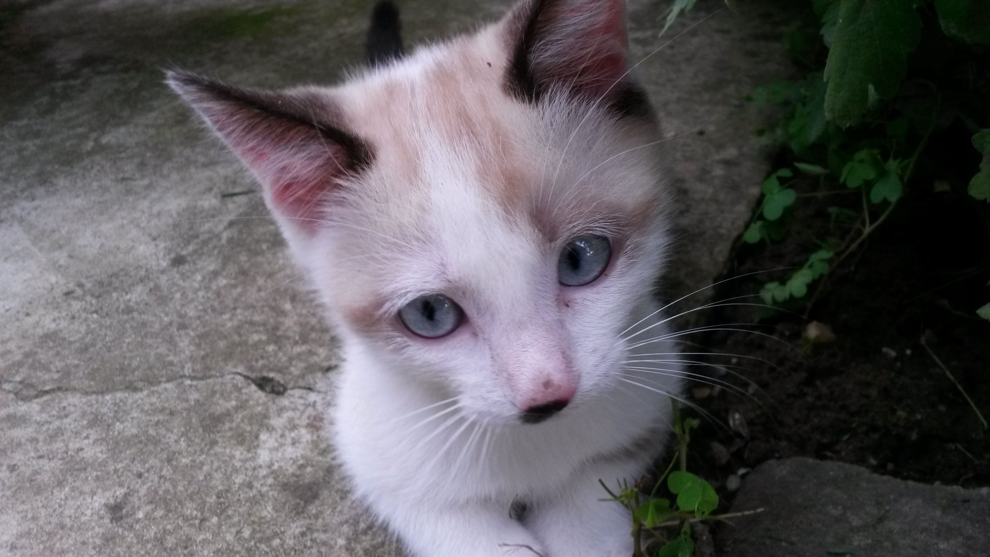 20140626_200840.jpg