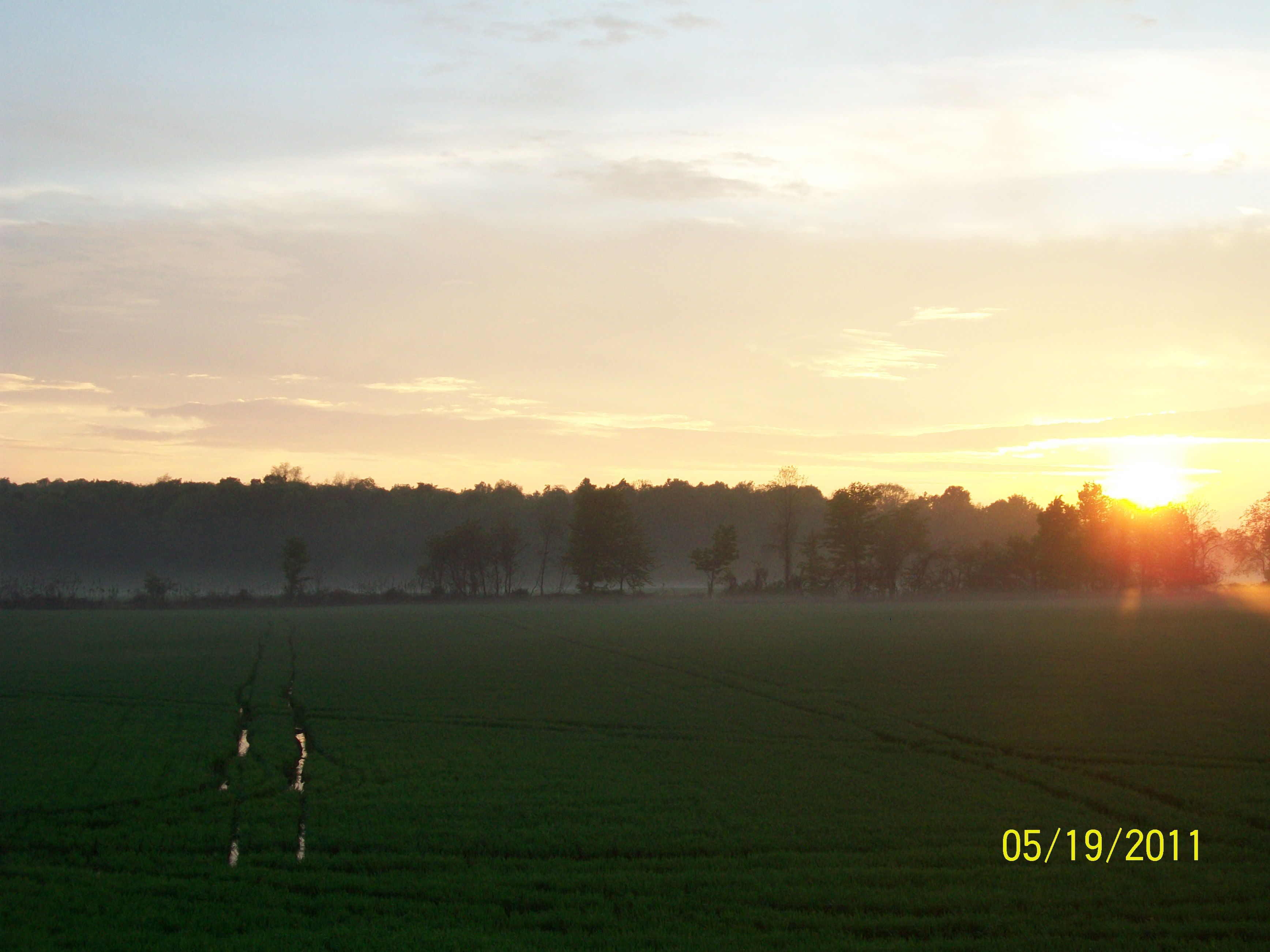 Farm_summer20110519_351.JPG