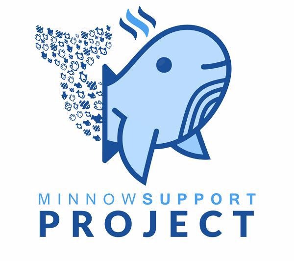 Minnow Support Project
