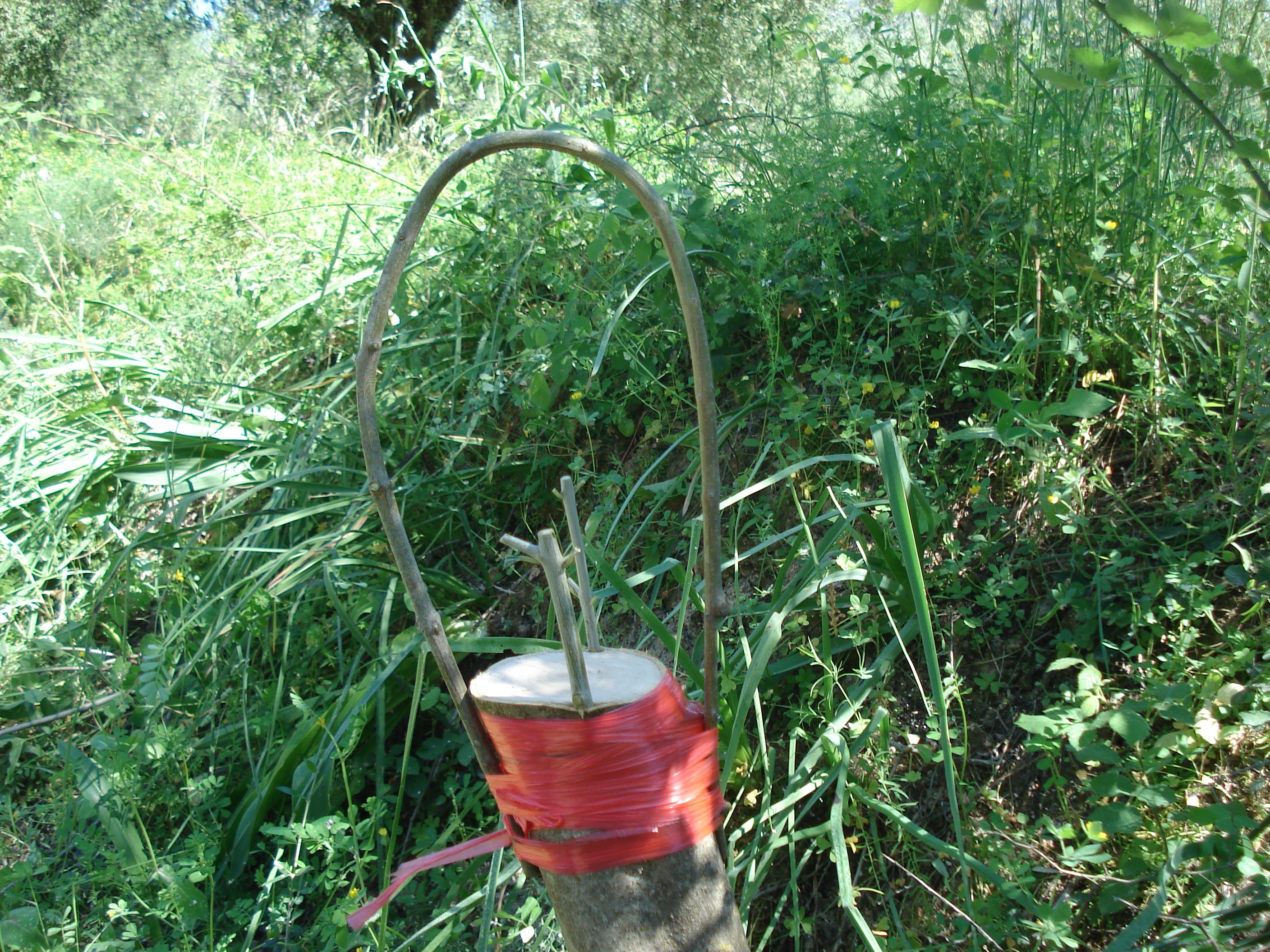 DSC01381.JPG