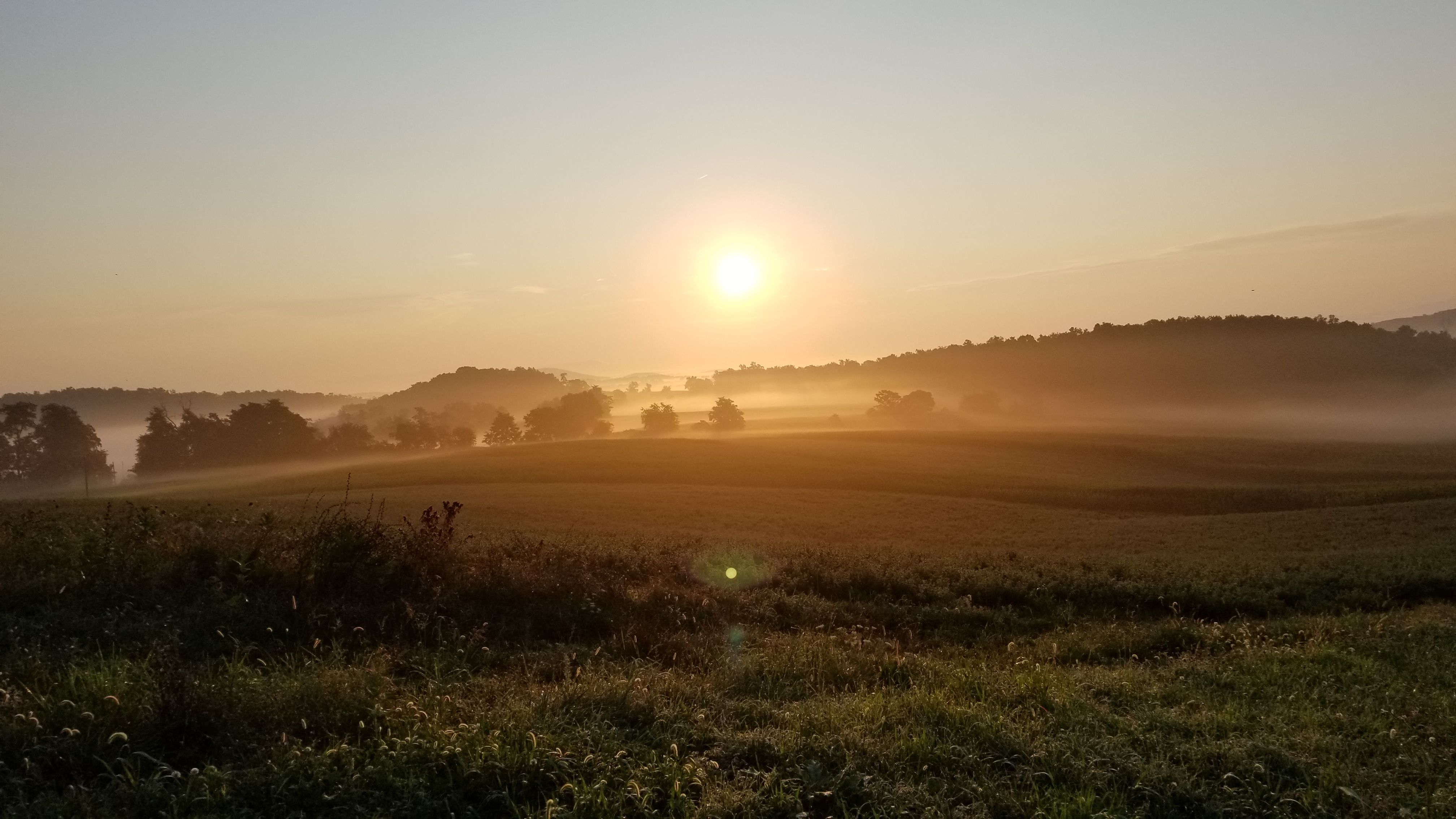 20170816_065958.jpg